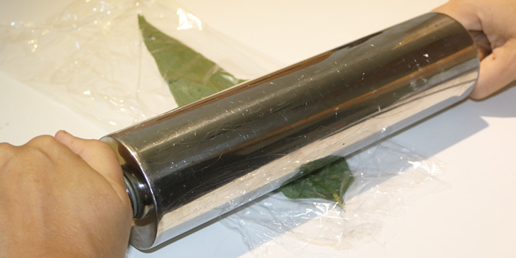 Beinwellblatt Umschlag Entzündungen