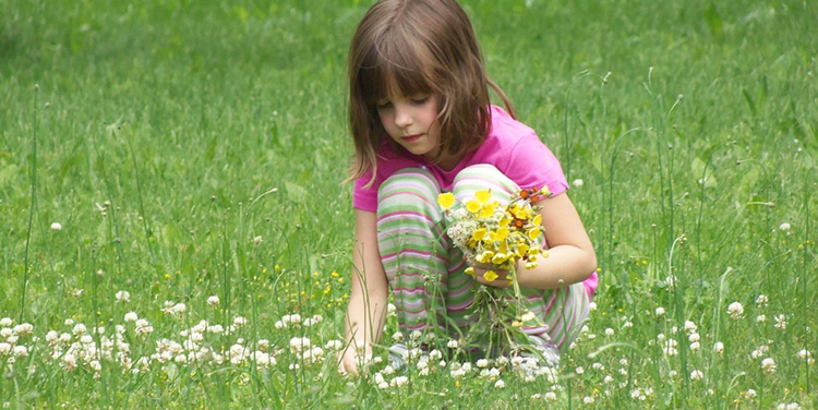 Blumen pfluecken Kind