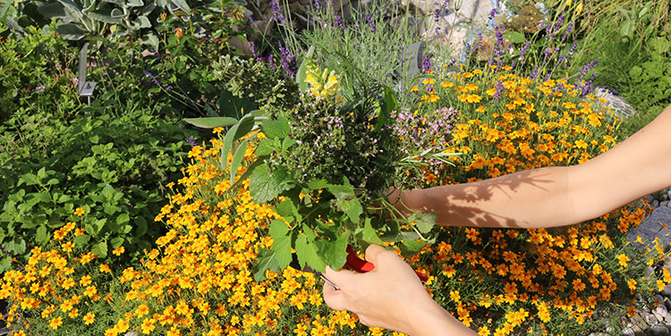 Blumen Fachmarkt
