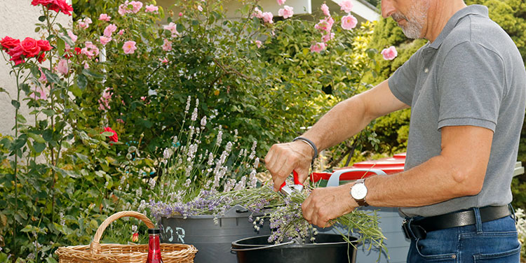 Blumen Fachmarkt