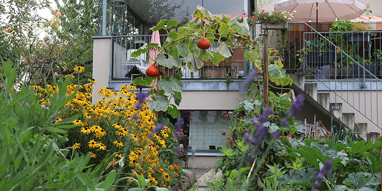 Slowflower Garten in Vorarlberg