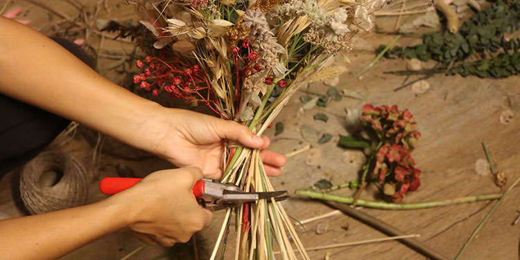 Straussstiele kürzen