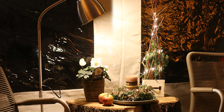 gesteckte Tanne mit Lichterkette