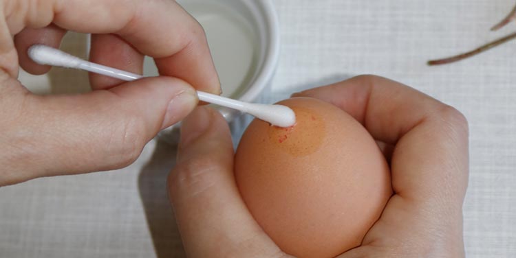 Eierstempel mit Essig entfernen