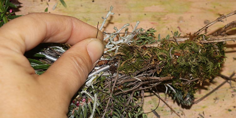 Herbstliches Dekoherz binden