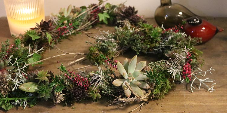 Dekoherz mit Hauswurz und Moos