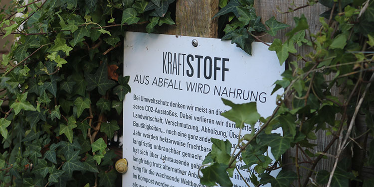 kompostieren aus Abfall wird Nahrung