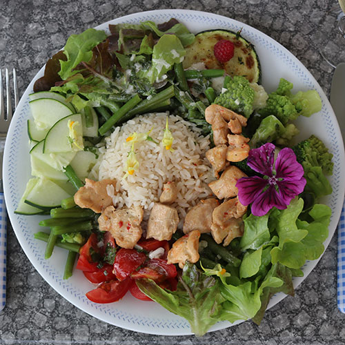 Gemischter Salat mit Huhn und Reis