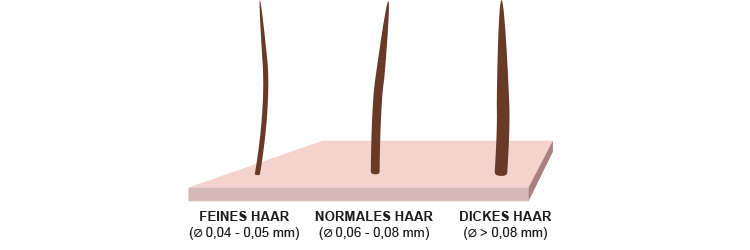 Unterscheid feines normales und dickes Haar