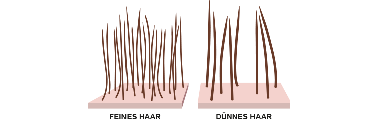 Unterscheid feines Haar dünnes Haar
