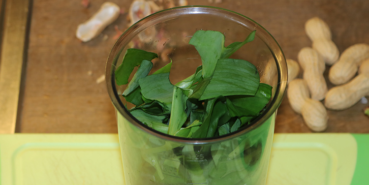 Bärlauch Erdnuss Pesto