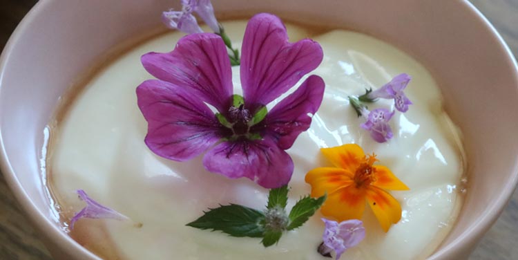 Rezept Topfencreme mit essbaren Blüten