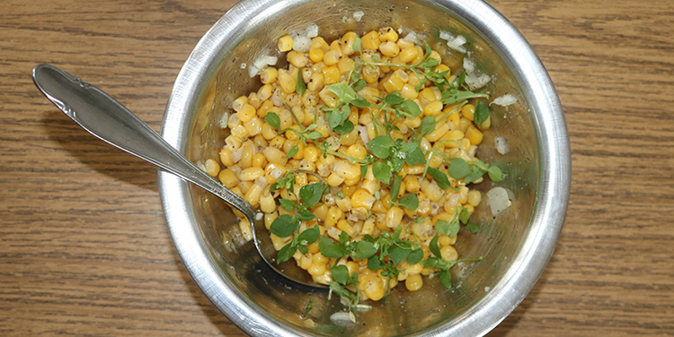 Maissalat Rezept mit Vogelmiere Inizio