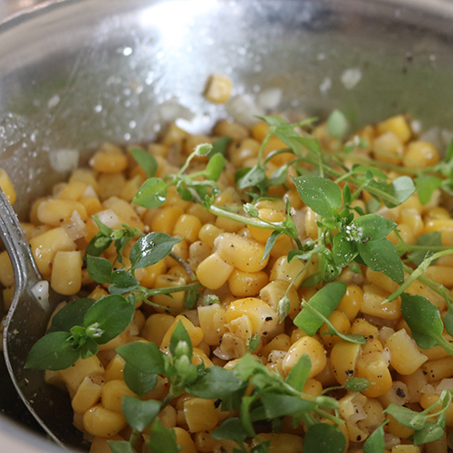 Maissalat mit Vogelmiere