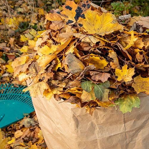 Slowflower was tun mit dem anfallenden Herbstlaub